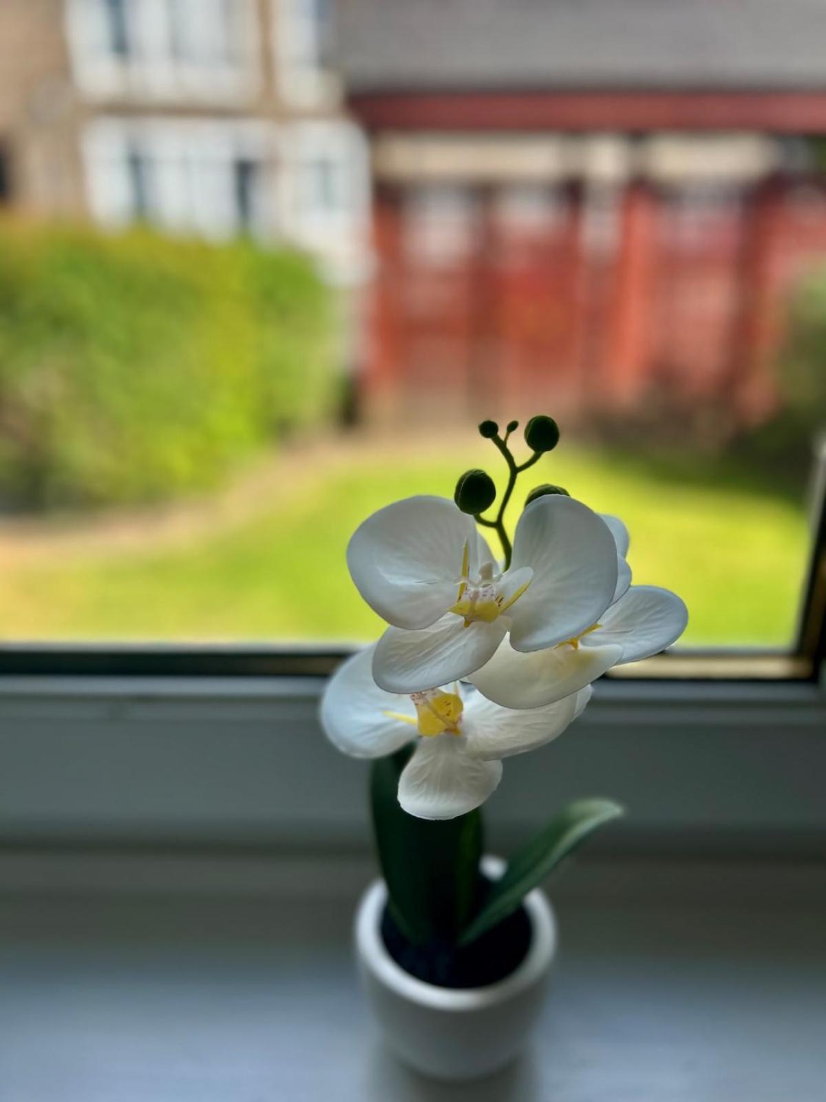 Apartment Comfy Two Bedroom Flat *